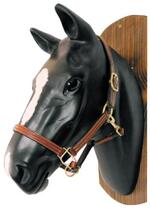 Leder-Halfter \"Elegance\" - schwarz - Gr. PONY