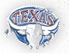 Gürtelschnalle US42